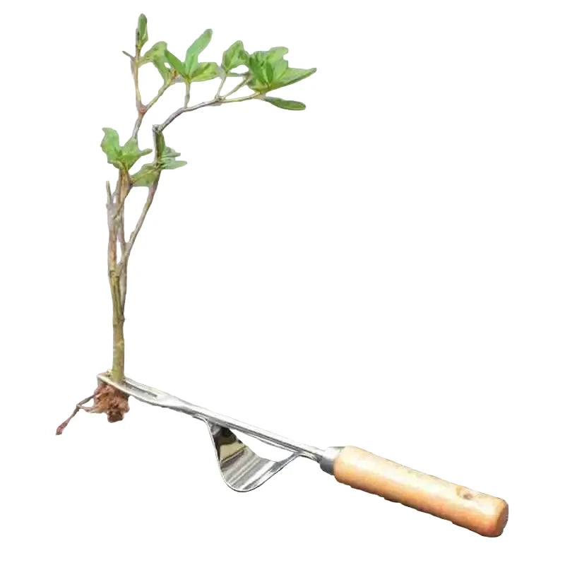 Hand-Unkrautstecher mit Holzgriff, Manueller Unkrautentferner aus Edelstahl, Wurzelentferner fur Garten, 31 cm